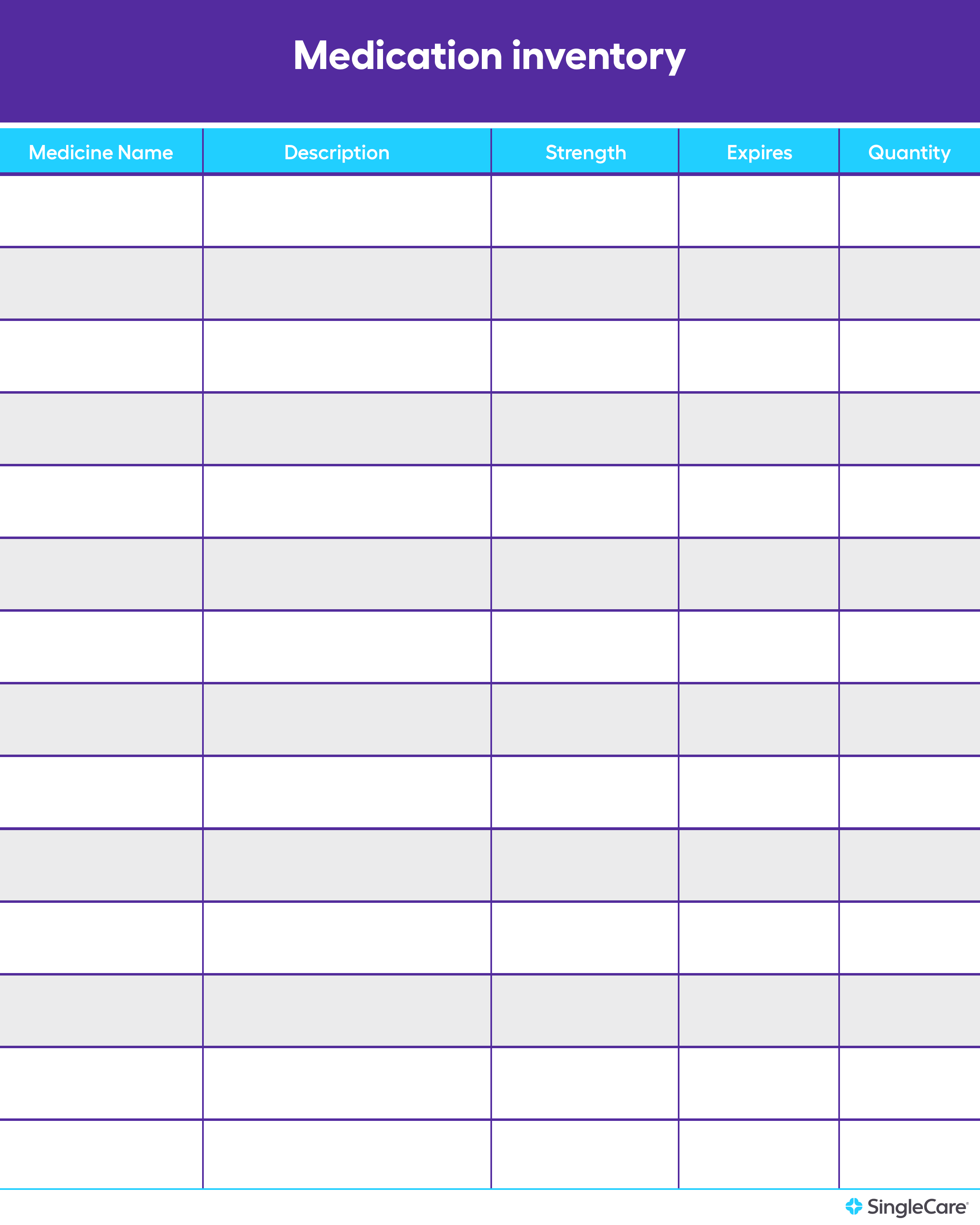 Medication Inventory Template