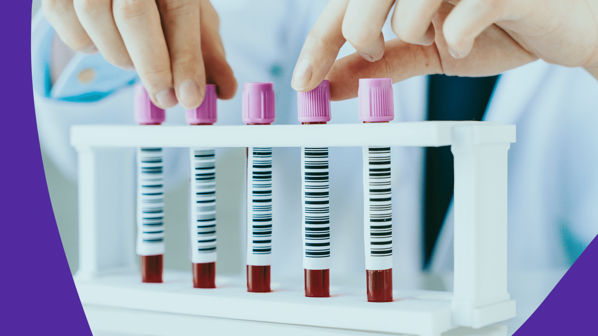 What Is MCH In Blood Test Results 