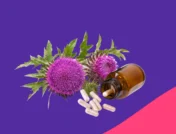 Milk thistle on a purple background | when to take milk thistle morning or night