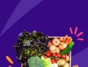 A basket full of color vegetables: How much is Contrave without insurance?