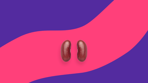 Kidney beans: Gabapentin and kidney disease