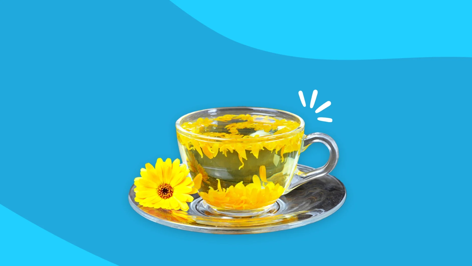 Cup of tea and flowers - calendula tea benefits